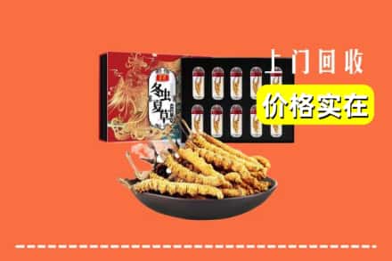 大同市灵丘回收冬虫夏草